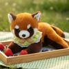 36/43cm Bauchlage Roter Panda Plüschtier Stofftier Realistisches Rotes Panda-Puppe Kinderspielzeug Weihnachts-Geburtstagsgeschenke für Jungen und Mädchen