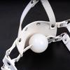 Silicone Ball Gag for Adults - K9 Mouth Plug Preventing Vomiting, Training Slave Mask Toy