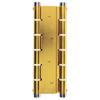 DOUBLE ACTION SWING HINGE U5914 GOLD MEASUREMENTS 180X133X4mm.