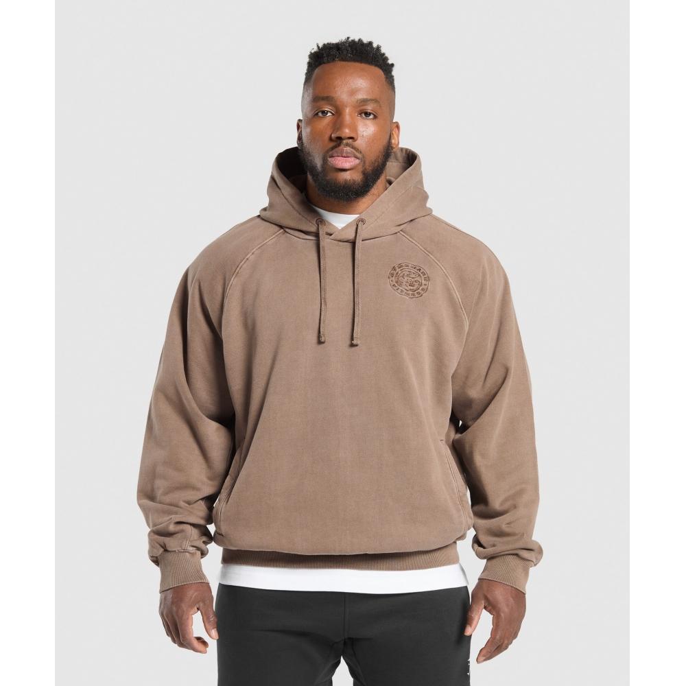 

Gymshark Толстовка Premium Legacy с капюшоном, мягкая коричневая A6a6z Ncrd XS