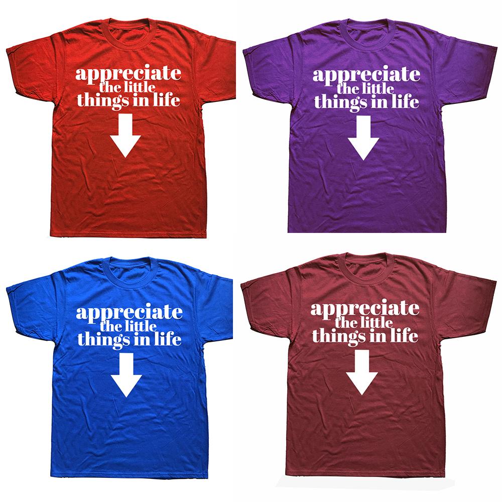 Appreciate The Little Things In Life Arrow Funny Adult Joke Graphic T-shirts Men Tshirt 100% Cotton Loose Oversized T Shirt