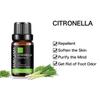 MAYJAM 10ml/30ml/100ml Olio Essenziale Puro di Citronella Aromaterapia Naturale Spa Massaggio Corporeo Cura della Pelle Purifica l'Aria Battericida