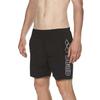 Arena Mens Berry Swim Shorts