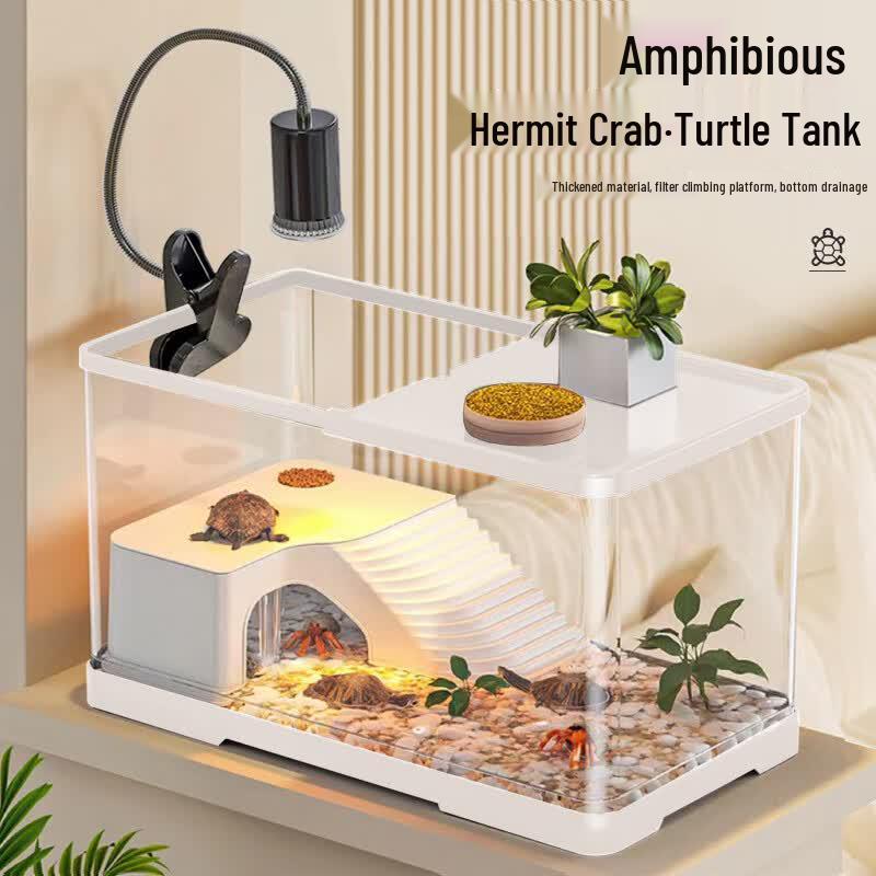 Ecological Transparent Turtle Reptile Habitat