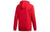 Adidas Originals Trefoil Sweatshirts Men's Hooded Moderate Regular DX3614