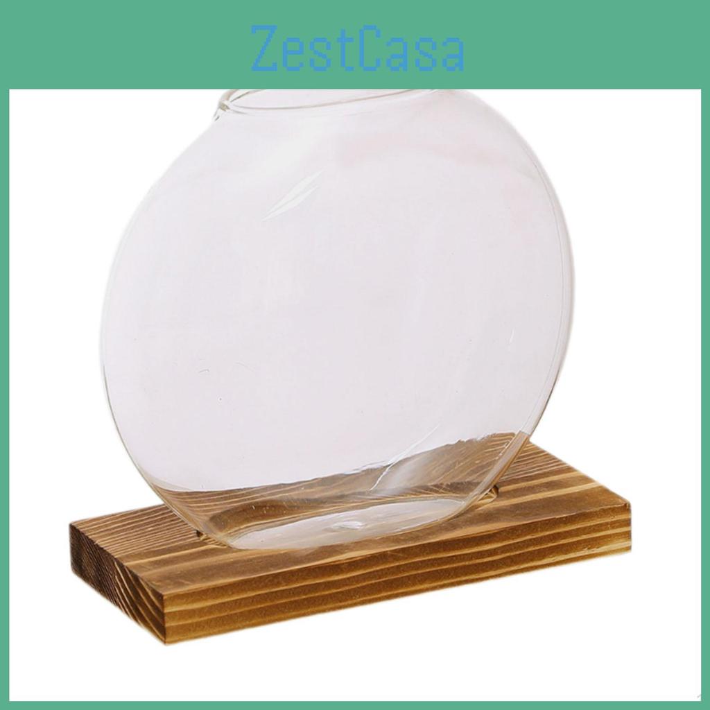 Glass Stand Elegant Display For Indoor Plants