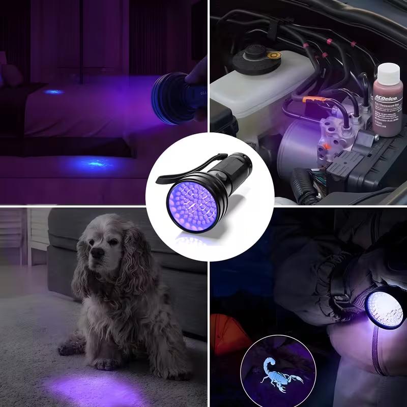 9/12/21/51 LED Protable UV Flashlight Black Light Ultraviolet Torch Blacklight Detector for Dog Urine Pet Stain and Bed Bug