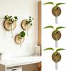 3 Peças Terrário de Plantas de Parede Estação de Propagação Cilindro Transparente Vasos de Tubo de Ensaio Pendurados Vasos de Flores Decorativos Internos para Banheiro Escritório