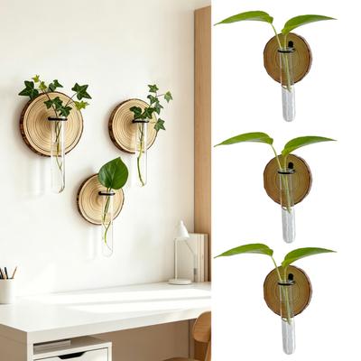 3 Pcs Wall-Mounted Plant Terrarium Propagation Station Clear Cylinder Hanging Test Tube Planter Indoor Decorative Flower Vases for Bathroom