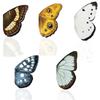 5Pcs Cartoon Magnetic Bookmarks Butterfly Magnetic Bookmarks Book Page Holder Clip For Book Lover Student Children Adult