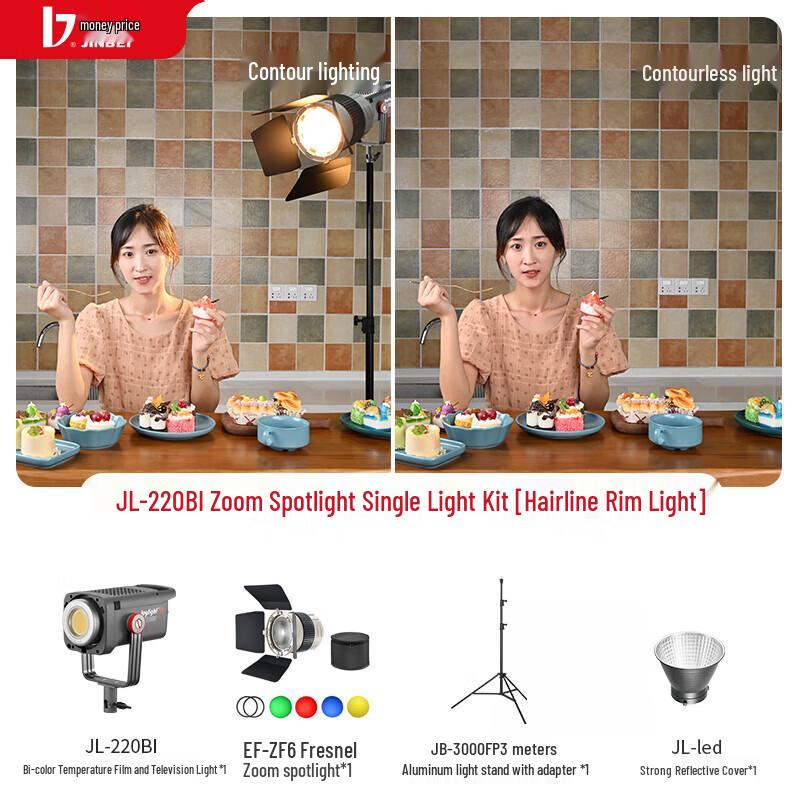 JINBEI 220W Bi-color LED Constant Soft Light