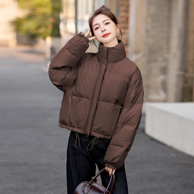 2024 Winter Korean-Inspired Loose Petite Stand-Up Collar Down Jacket for Women