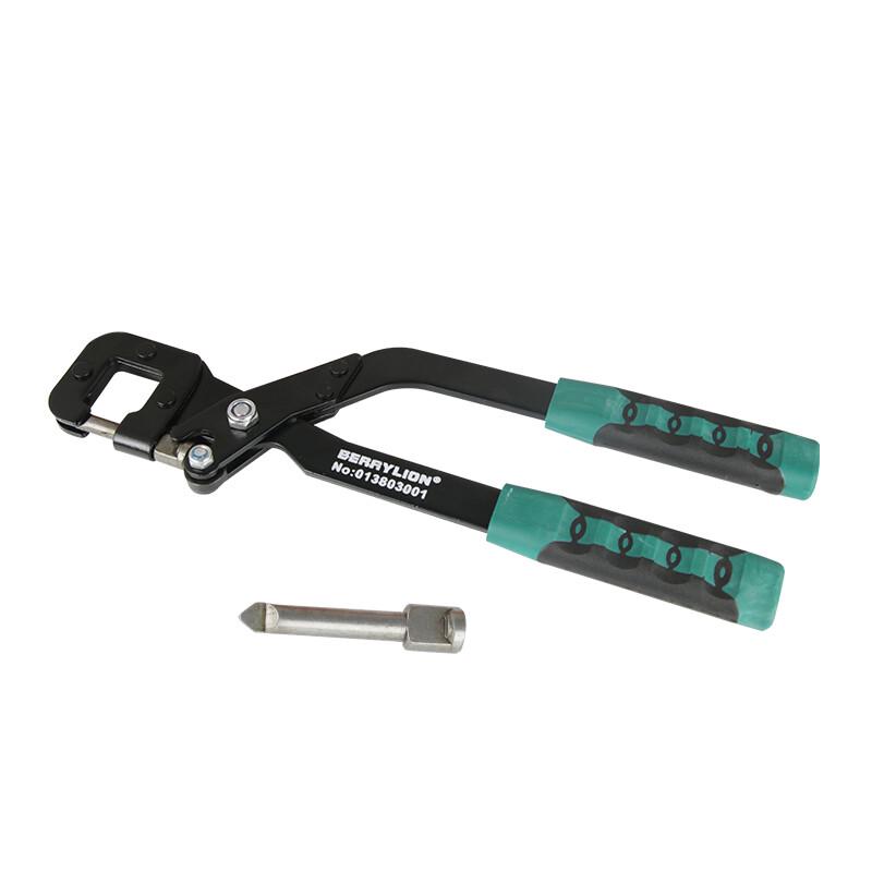 Berry Lion Keel Punch Pliers
