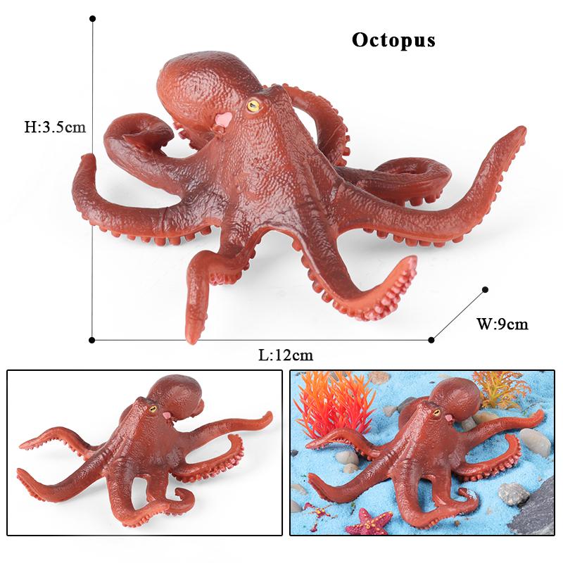 Oenux Marine Molluscs Model Simulation Squid Octopus Growth Cycle Action Figure Sealife Animals Education Collection Kids Toy