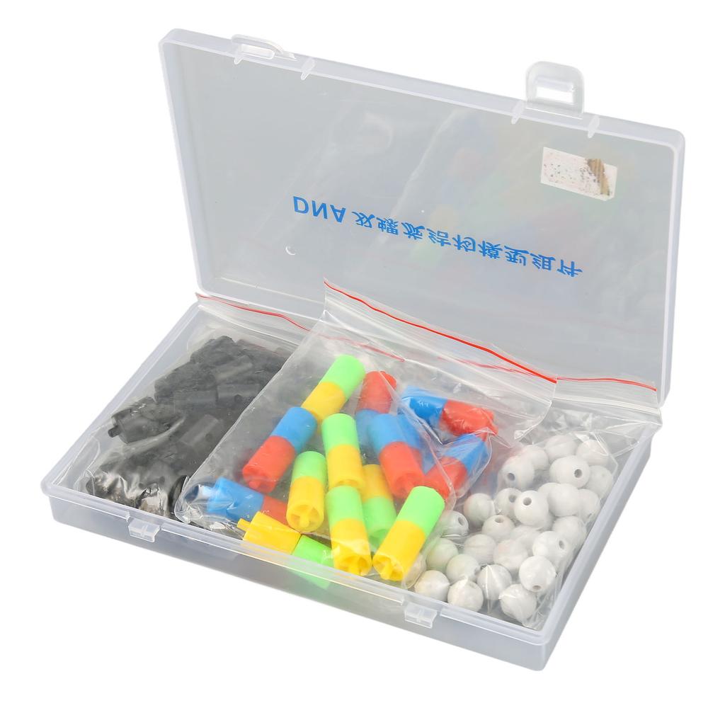 Modelli di struttura a doppia elica del DNA Kit di modelli di struttura a doppia elica del DNA per uso didattico Scienze biologiche Popolare