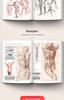 Comprehensive Guide To Human Anatomy: Art and Sketching Reference for Beginners