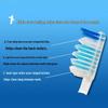 Crest Colorful Crystal Soft Bristle Toothbrush 3-Pack