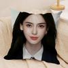 Angelababy Cushion Cover Soft Plush Fabric DoubleSided Printed Sofa Cushion Cover for All Seasons Home Decor Gift