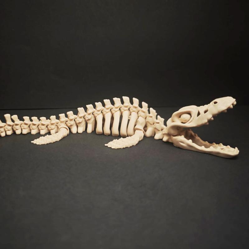 1 Stuks Dinosaurus Skelet Model Aquarium Landschapsdecoratie Zee Reptielen Display Bureau Ornament Aquarium Huisdecoratie