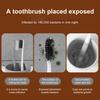 Travel Toothbrush Cup Storage Holder with 3 Slots Dustproof Compact Portable Bathroom Toothbrush Toothpaste Storage Rack