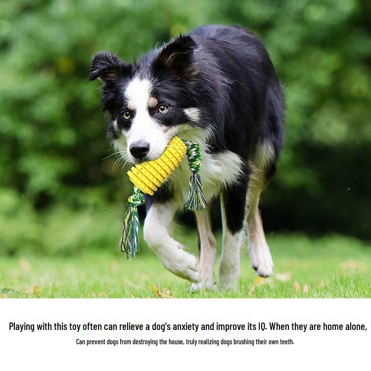 Teething Chew-Resistant Dog Toys - Dental Bones & Toothbrush with Rope & Corn