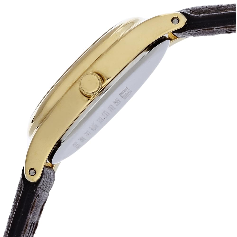 CITIZEN REGUNO RS26-0031C Solar Tech Women's Watch Gold Brown Leather