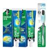 Ice Fresh Super White Lime Mint Toothpaste & Charcoal Toothbrush Set