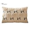 Decorative Throw Pillow Covers Thanksgiving Pumpkin Cushion Cover, Plush Embroidered Cozy Bedroom Cover Soft Case for Farmhouse Home Autumn
