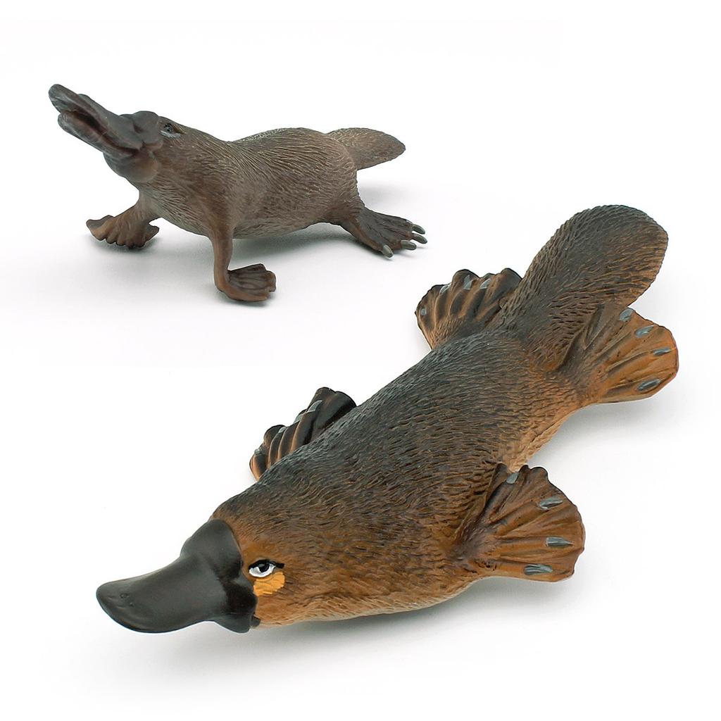 Forest Mammal Platypus Model Children'S Cognition Australian Duck Otter Tabletop Ornament