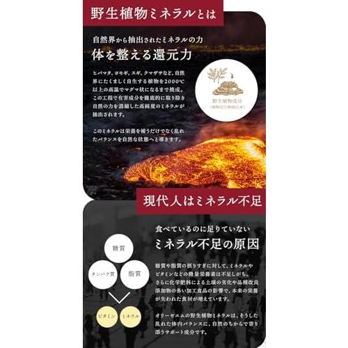 Oryze M, a fermented vegetable food