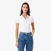 Women's Slim Fit Piping Detail Polo Shirt DF5284-56G3SM