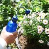 1Pc Watering Can Small for Seedlings 450 Ml Mini Watering Can Watering Ball Shower