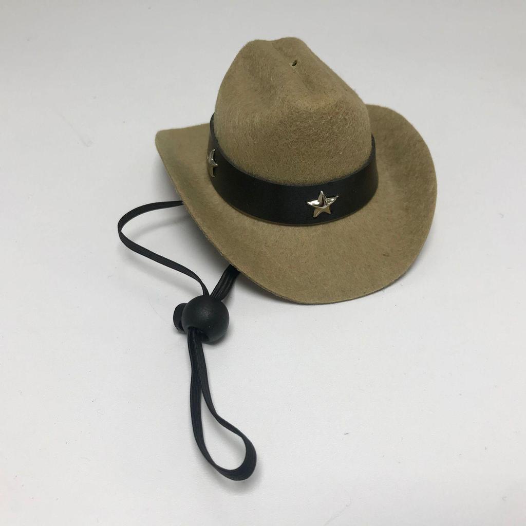 Denim Cowboy Hat with Star for Cats & Small Dogs