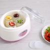 Rustfritt stål 1L Automatisk Yoghurtmaskin - Kompakt husholdningsapparat for yoghurt, natto og risvin