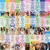 30 Dog Inspirational Bookmark Series Simple Hand-dog Literary and Creative Materials Ins Reading Paper Bookmark DIY