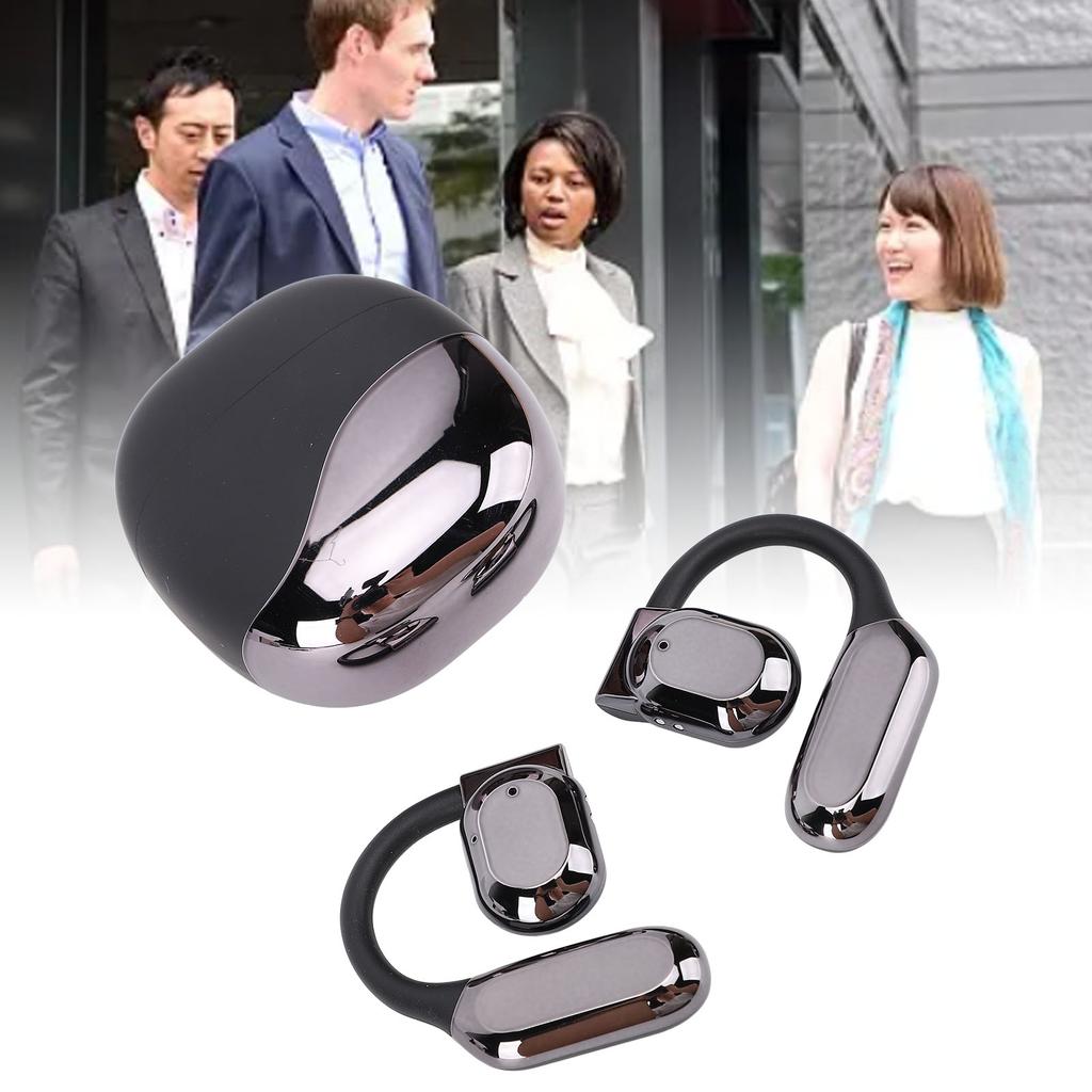 Translation Earbuds Earhook Active Noise Reduction Wireless   AI Language Translator Earbuds