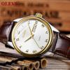 OLEVS Men's Watch, Stylish Ultra-Thin Leather Strap, Quartz Movement, Analog, Date Display, for Men