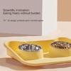 Elevated Cat Bowl Food Container Feeding Double Bowls Dogs Dry Food Bowl Mat