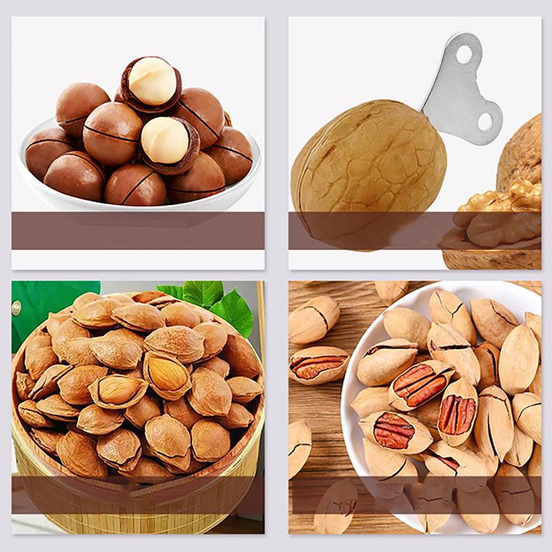 10/20PCS Macadamia Nut/Walnut/Almond/Pecan Practical Nut Shell Opener For Household Use Nut Shelled Small Tool