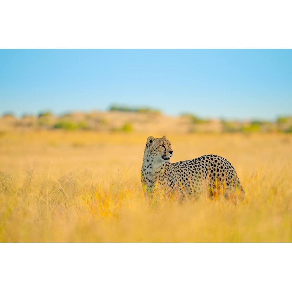 Tamron 150-500mm f/5-6.7 Di III VC VXD pro bajonet Sony E (Model A057)