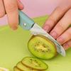 2-in-1 Foldable Fruit Knife & Peeler, Multifunctional Portable Kitchen Tool with Stainless Steel/ Ceramic Blade for Peeling