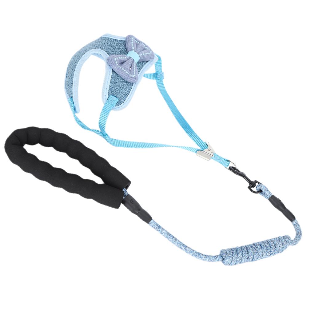 Postroj pro kočky AntiLost s vodítkem, popruh pro vestu Pet EscapeProof na venčení, modrý