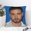Pillow Cover L-Liam Payne Singer  Morden Pillow Case For Sofa Home Decor Pillowcases