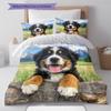 Cartoon Pattern Bedding Quilt Set Quilt Cover Pillowcase Home Decoration Birthday Gift (1 * Duvet Cover + 2 * Pillowcase, Without Core)