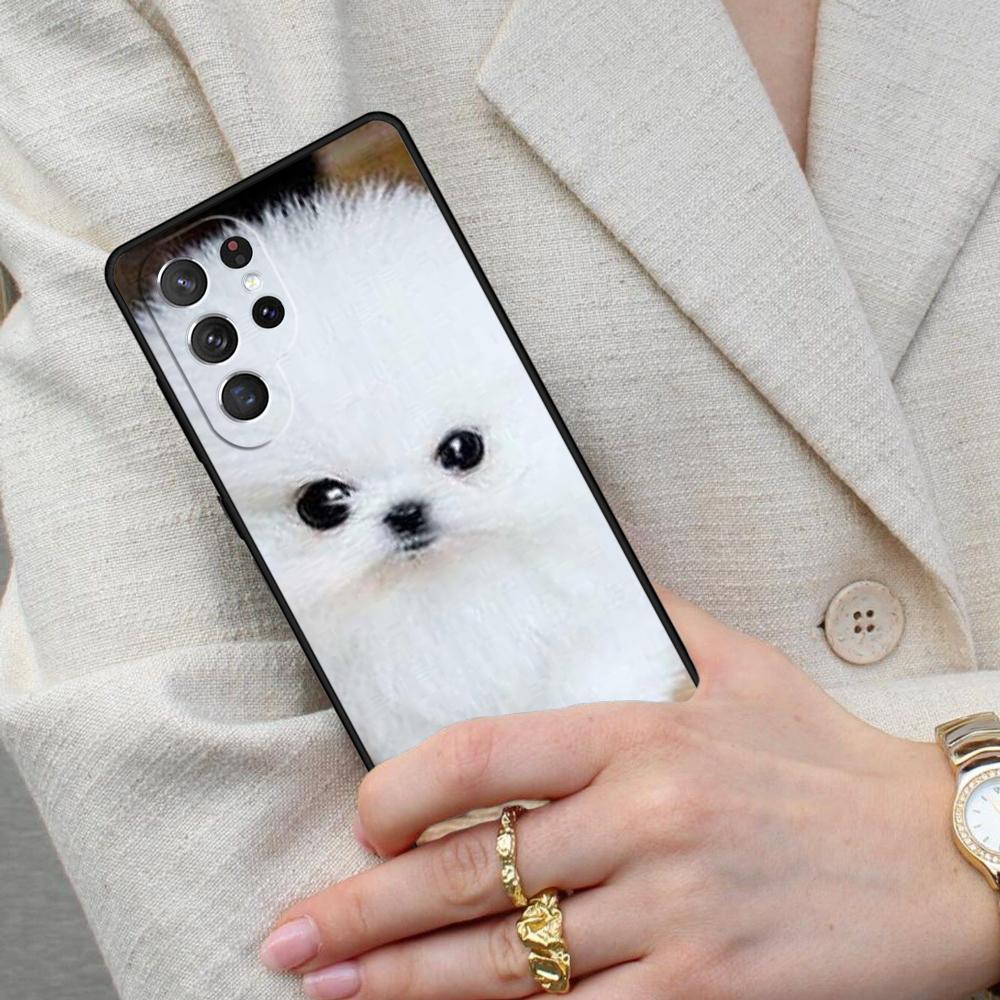 Pomeranian Dog Cell Phone Case for Samsung Galaxy S26 Ultra S25 S24 S23 S22 S21 S20 Note10 Cover