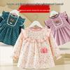 Waterproof Reversible Princess Dress Bib: Infant Smock for Meals, Stain-Proof Outerwear for Autumn & Winter
