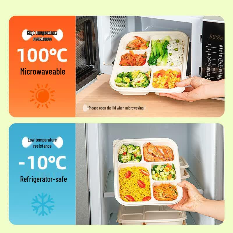 Eco-Friendly Biodegradable Compartment Meal Boxes with Lids
