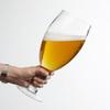 Shangqi Große Bierkrüge aus Glas