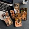 Casing for Apple iPhone 16 14 15 Plus 11 Pro Max 16E ProMax + 16Plus 15+ 14+ Phone Cover Protective Case Golden Retriever Dog