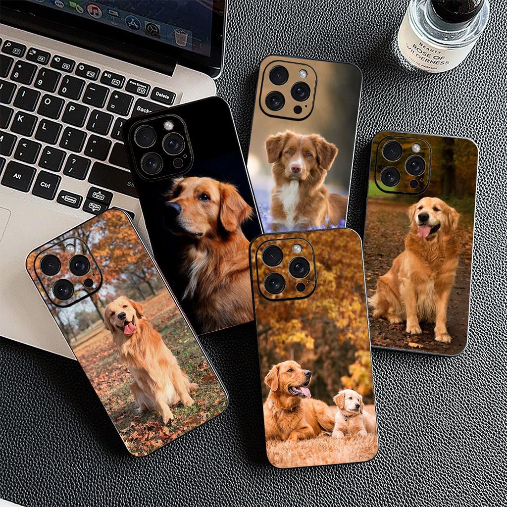 Casing for Apple iPhone 16 14 15 Plus 11 Pro Max 16E ProMax + 16Plus 15+ 14+ Phone Cover Protective Case Golden Retriever Dog